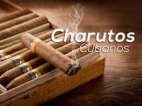 gallery/charutos cubanos editado 2